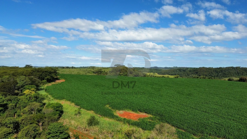 Fazenda/Sítios/Chácaras À Venda Vila Rural Jataizinho
