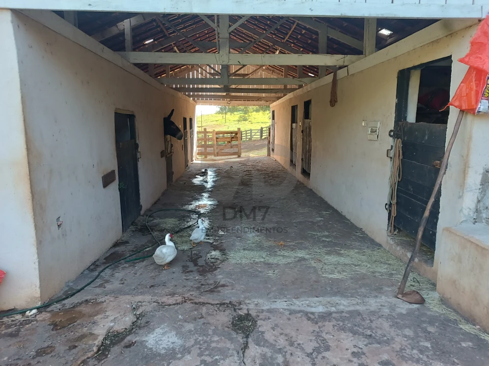 Imagens do imóveis Fazenda/Sítios/Chácaras À Venda Vila Rural Jataizinho