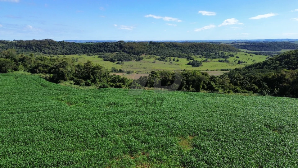 Fazenda/Sítios/Chácaras À Venda Vila Rural Jataizinho