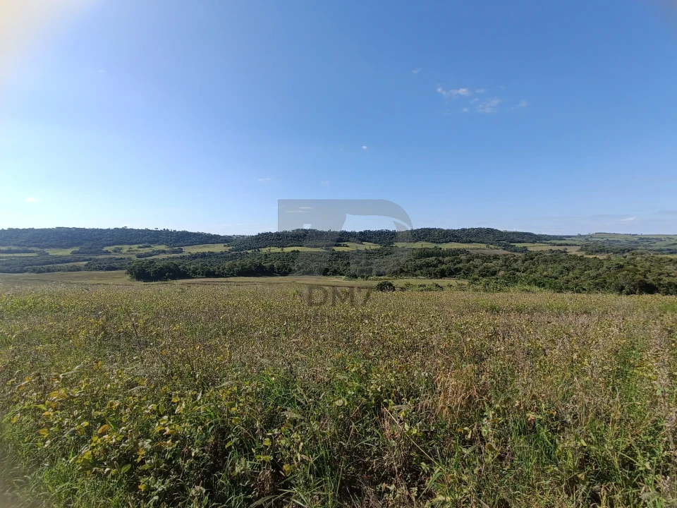 Imagens do imóveis Fazenda/Sítios/Chácaras À Venda Vila Rural Jataizinho