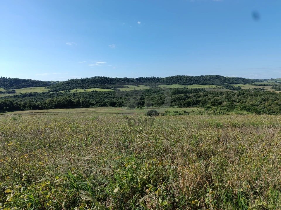 Imagens do imóveis Fazenda/Sítios/Chácaras À Venda Vila Rural Jataizinho