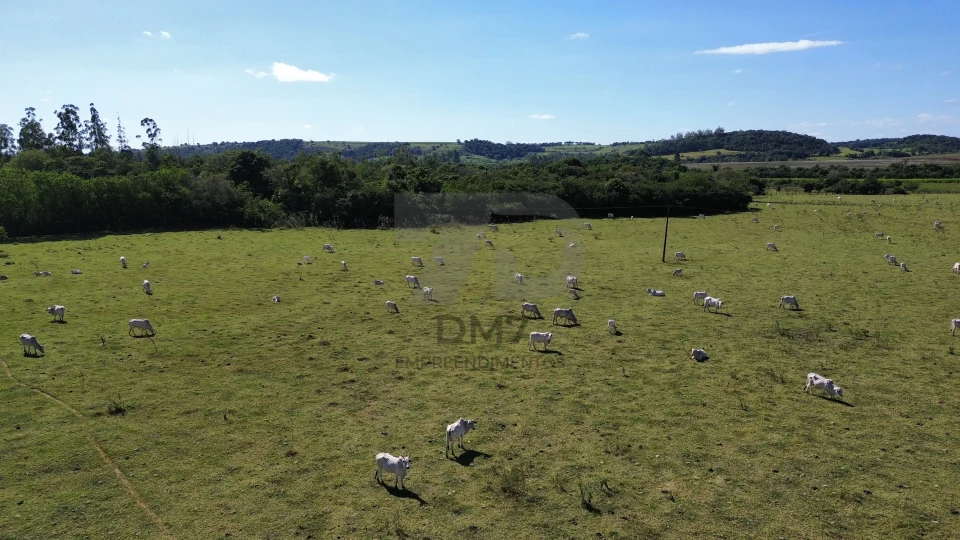 Imagens do imóveis Fazenda/Sítios/Chácaras À Venda Vila Rural Jataizinho