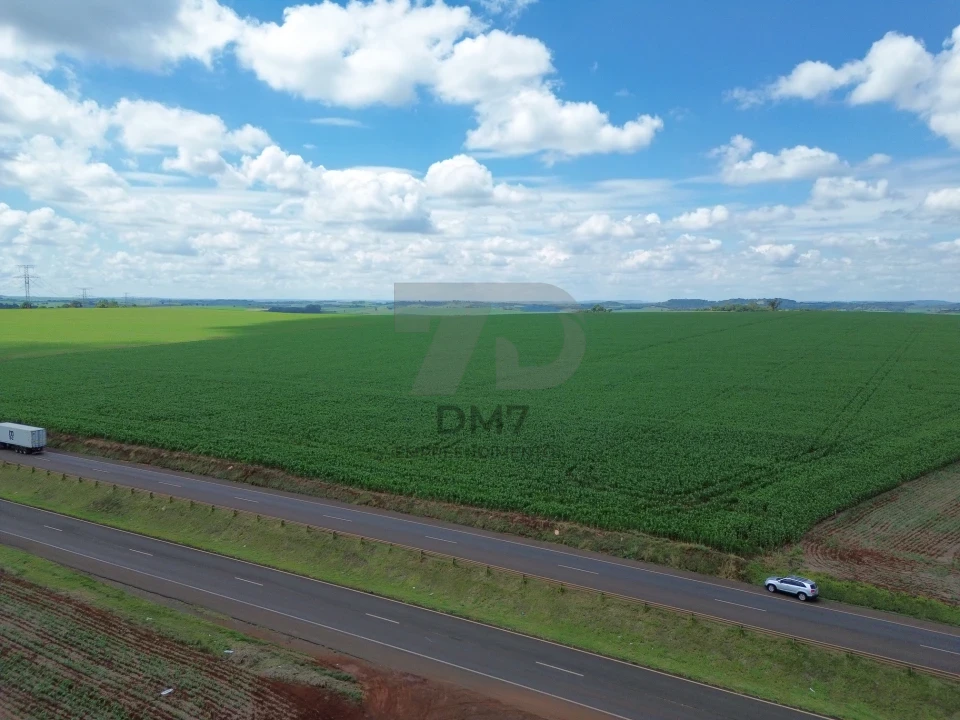 Fazenda/Sítios/Chácaras À Venda Rodovia Floresta