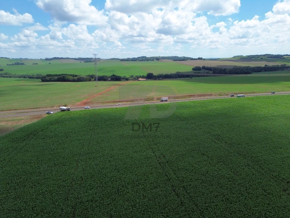 Fazenda/Sítios/Chácaras À Venda Rodovia Floresta