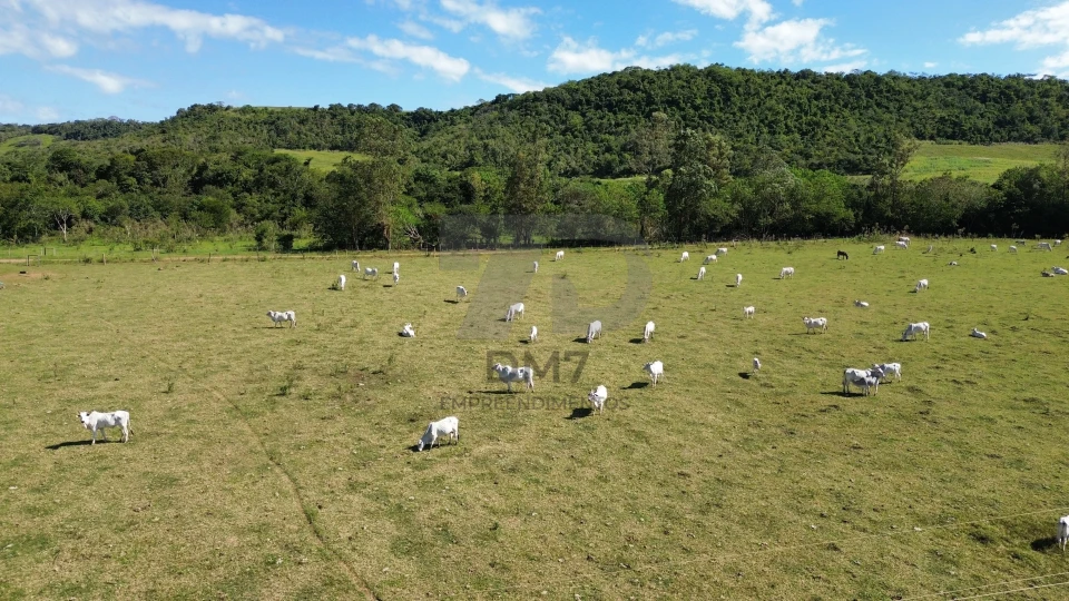 Imagens do imóveis Fazenda/Sítios/Chácaras À Venda Vila Rural Jataizinho