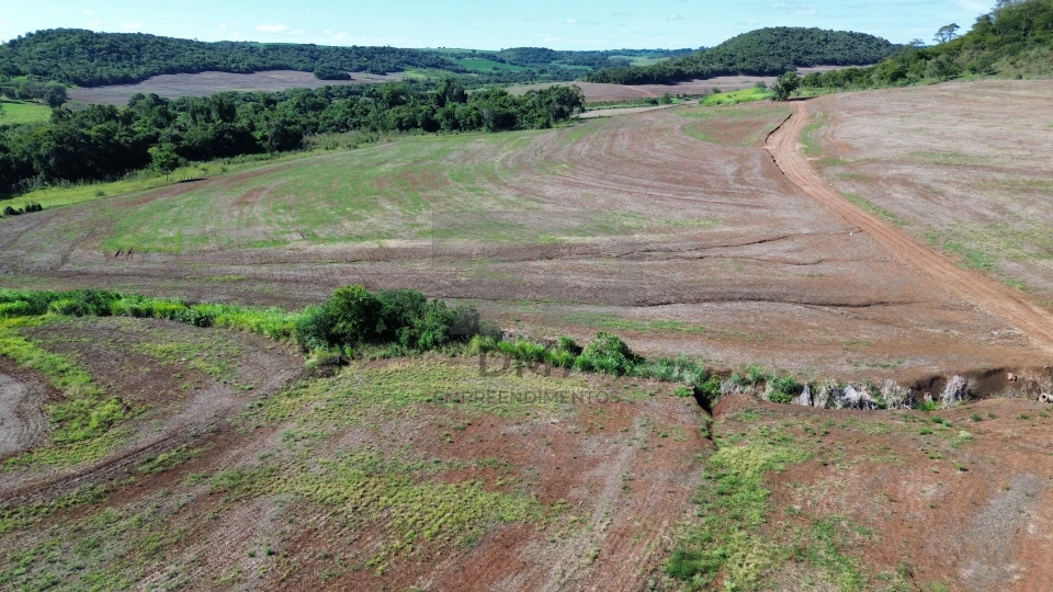 Fazenda/Sítios/Chácaras À Venda Vila Rural Jataizinho