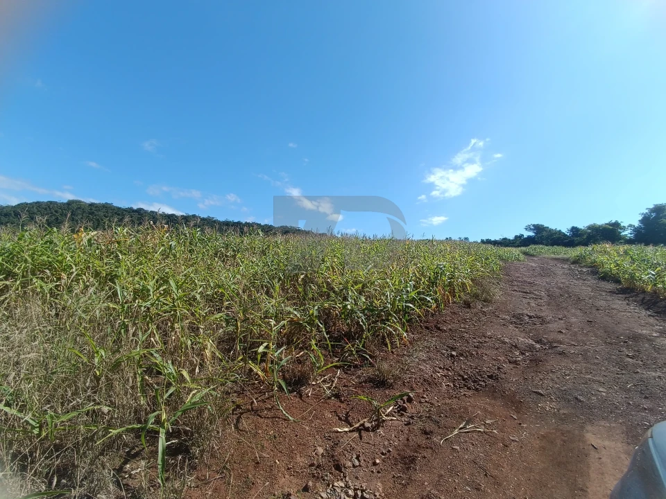 Imagens do imóveis Fazenda/Sítios/Chácaras À Venda Vila Rural Jataizinho