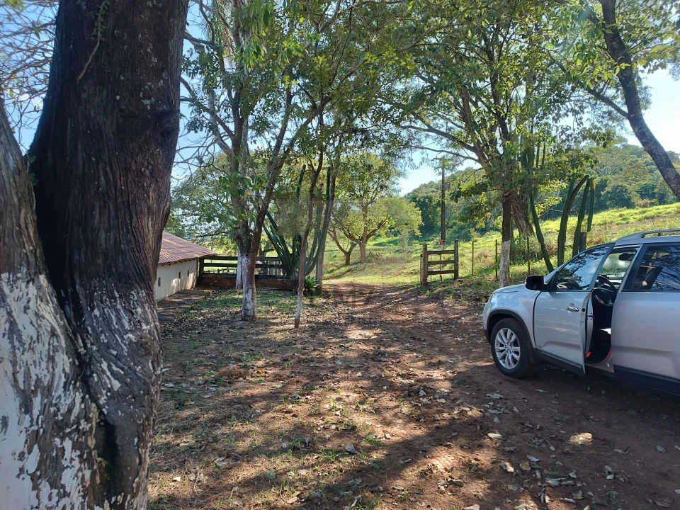 Fazenda/Sítios/Chácaras À Venda Vila Rural Jataizinho