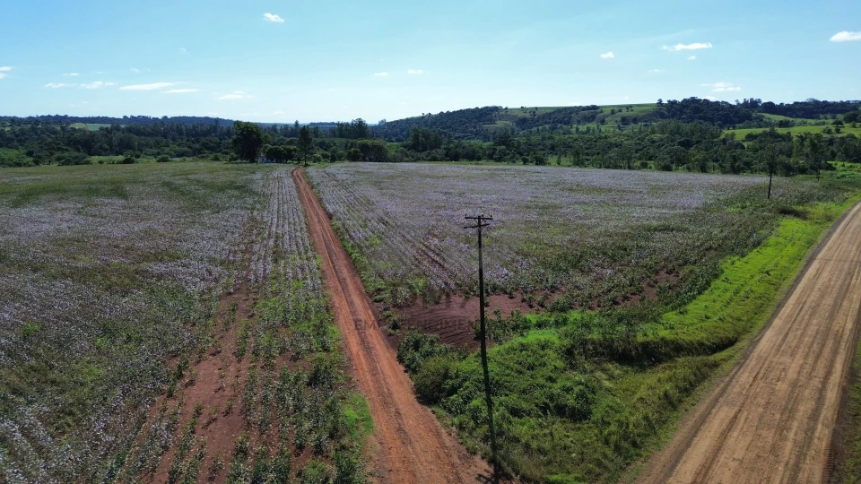 Imagens do imóveis Fazenda/Sítios/Chácaras À Venda Vila Rural Jataizinho