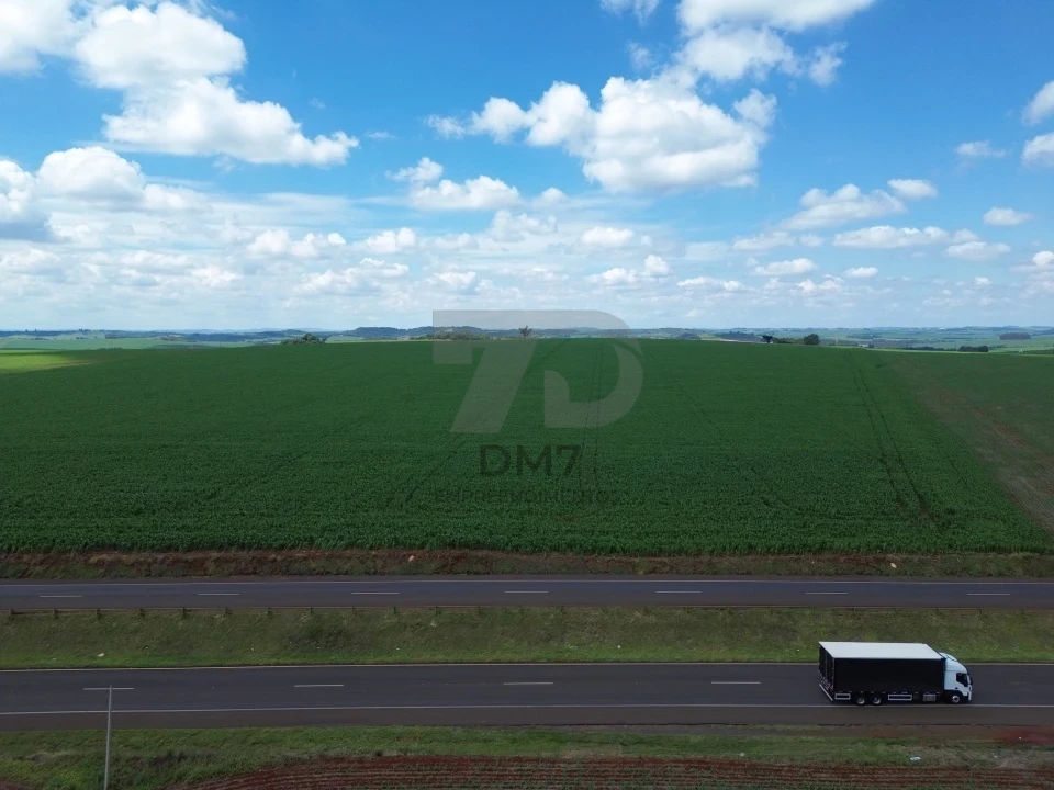 Fazenda/Sítios/Chácaras À Venda Rodovia Floresta