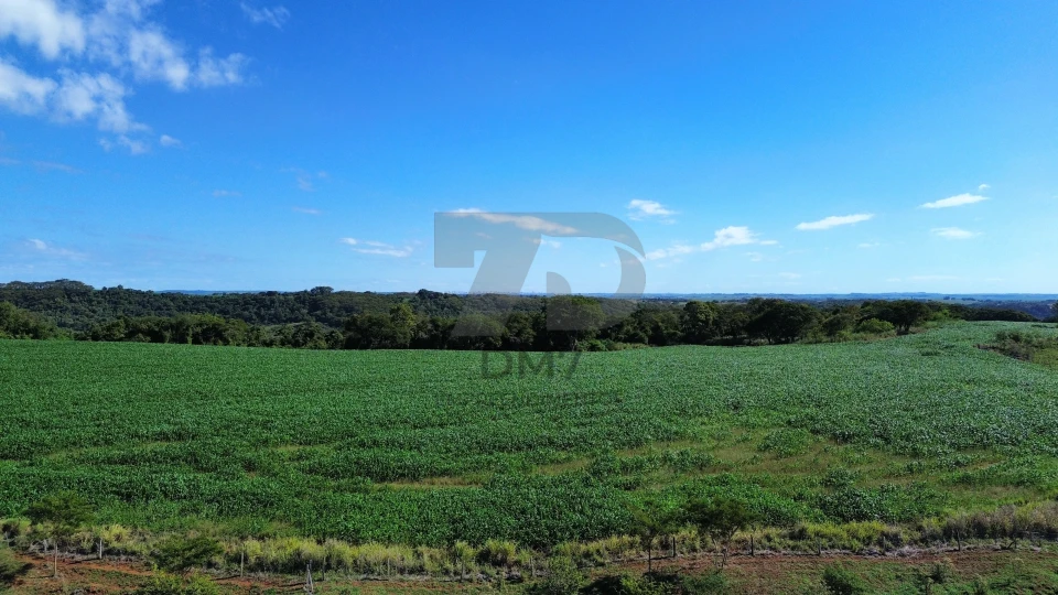 Fazenda/Sítios/Chácaras À Venda Vila Rural Jataizinho