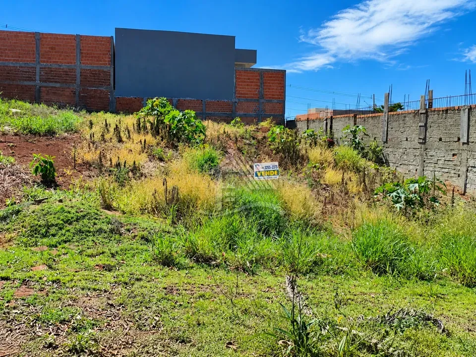 TERRENO - BELMONTE