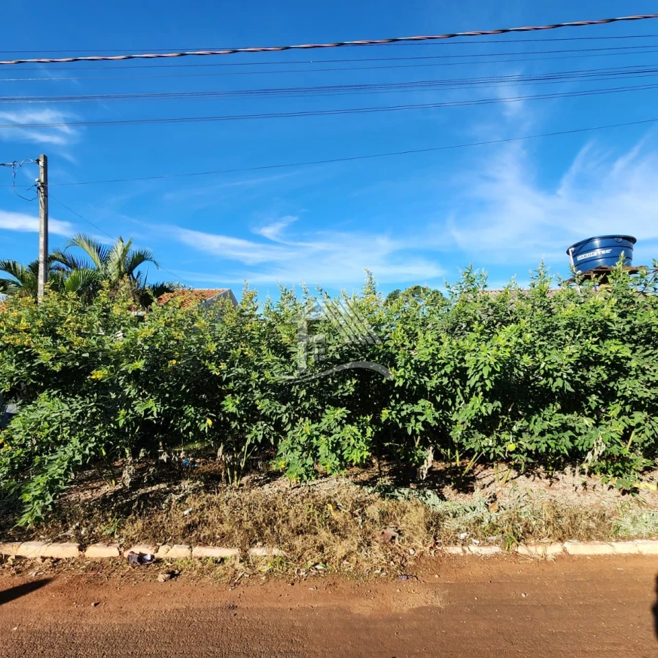 Imagens do imóveis Bartira Nossa Senhora Aparecida