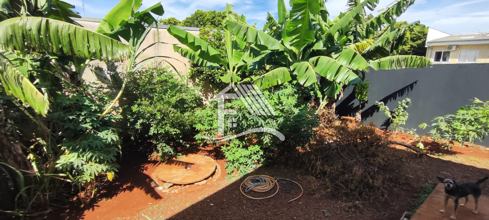 Venda CASA ROLANDIA PR Brasil