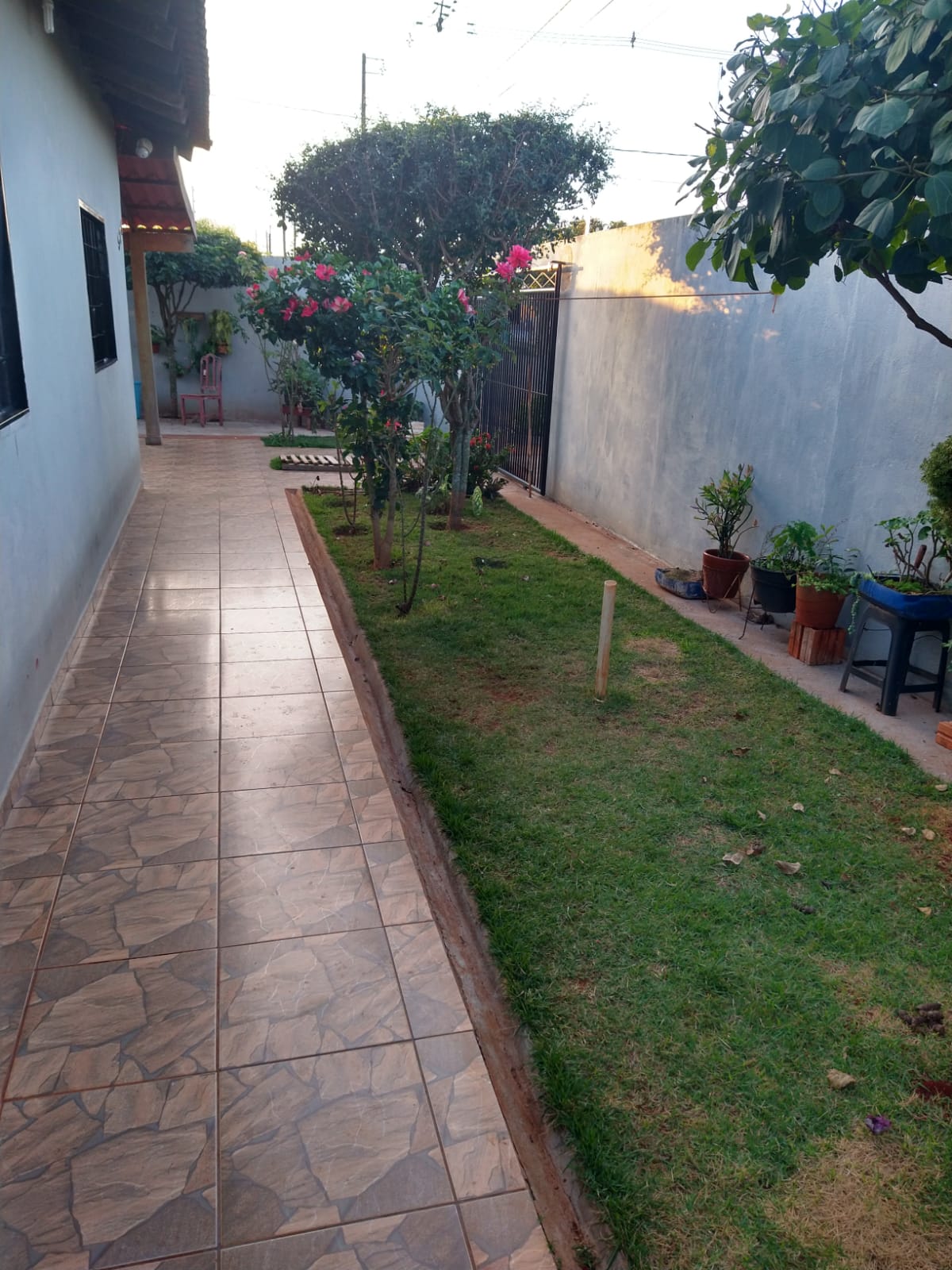 OURO VERDE