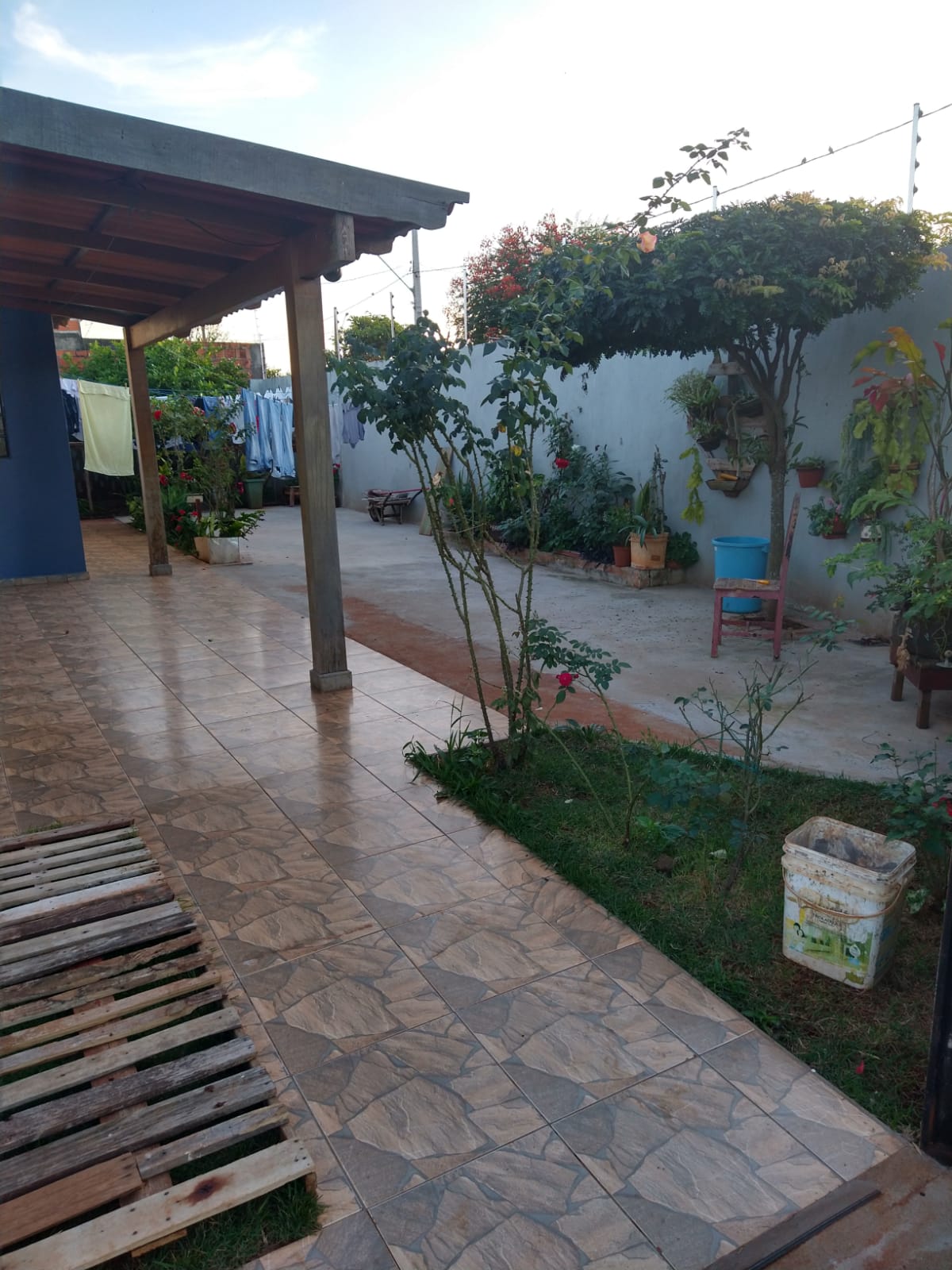 OURO VERDE