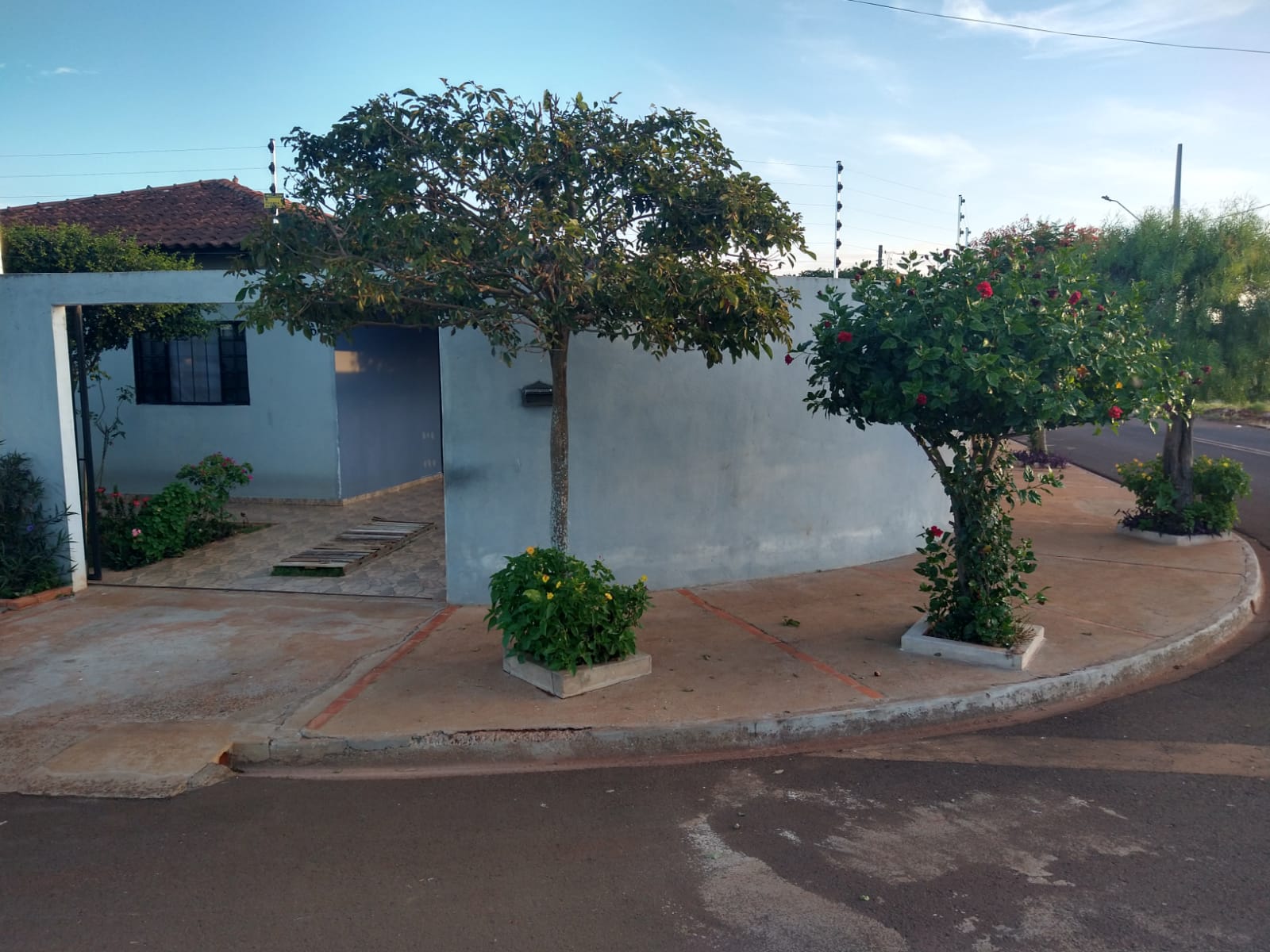 OURO VERDE