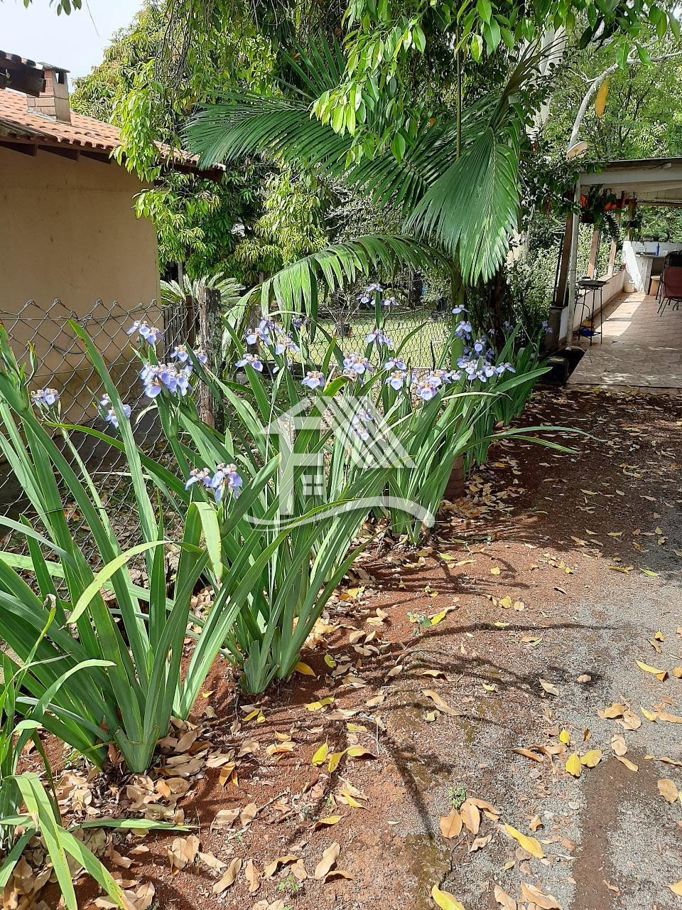 Venda IMÓVEIS ESPECIAIS/OUTROS ROLANDIA PR Brasil