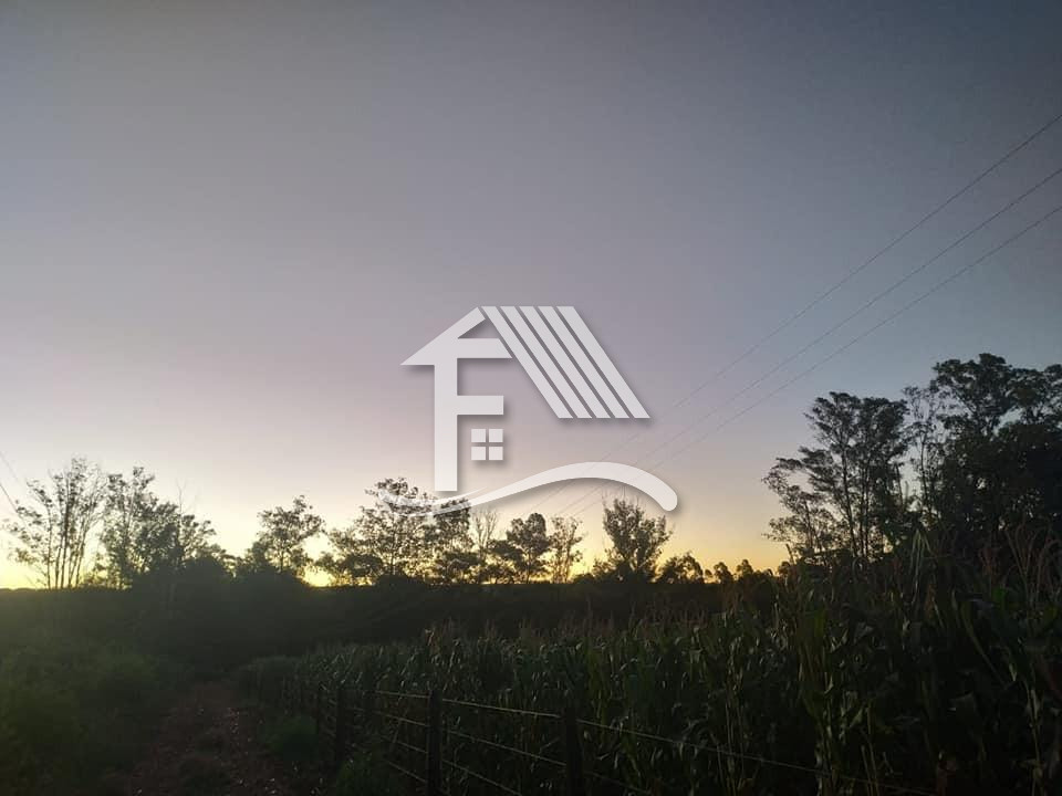 Venda IMÓVEIS ESPECIAIS/OUTROS ROLANDIA PR Brasil