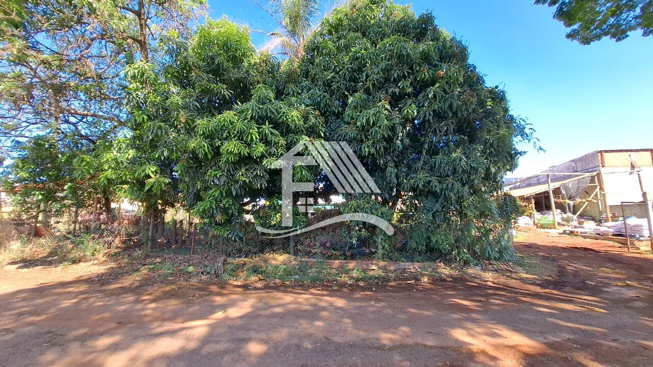 Venda TERRENO ROLANDIA PR Brasil