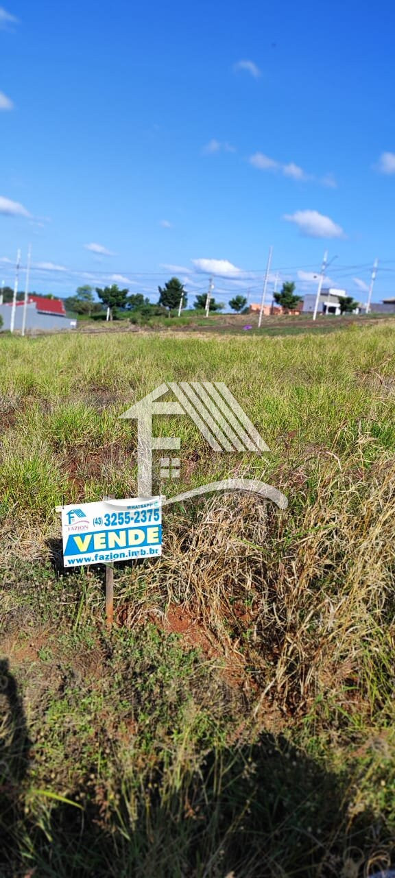 Venda TERRENO ROLANDIA PR Brasil