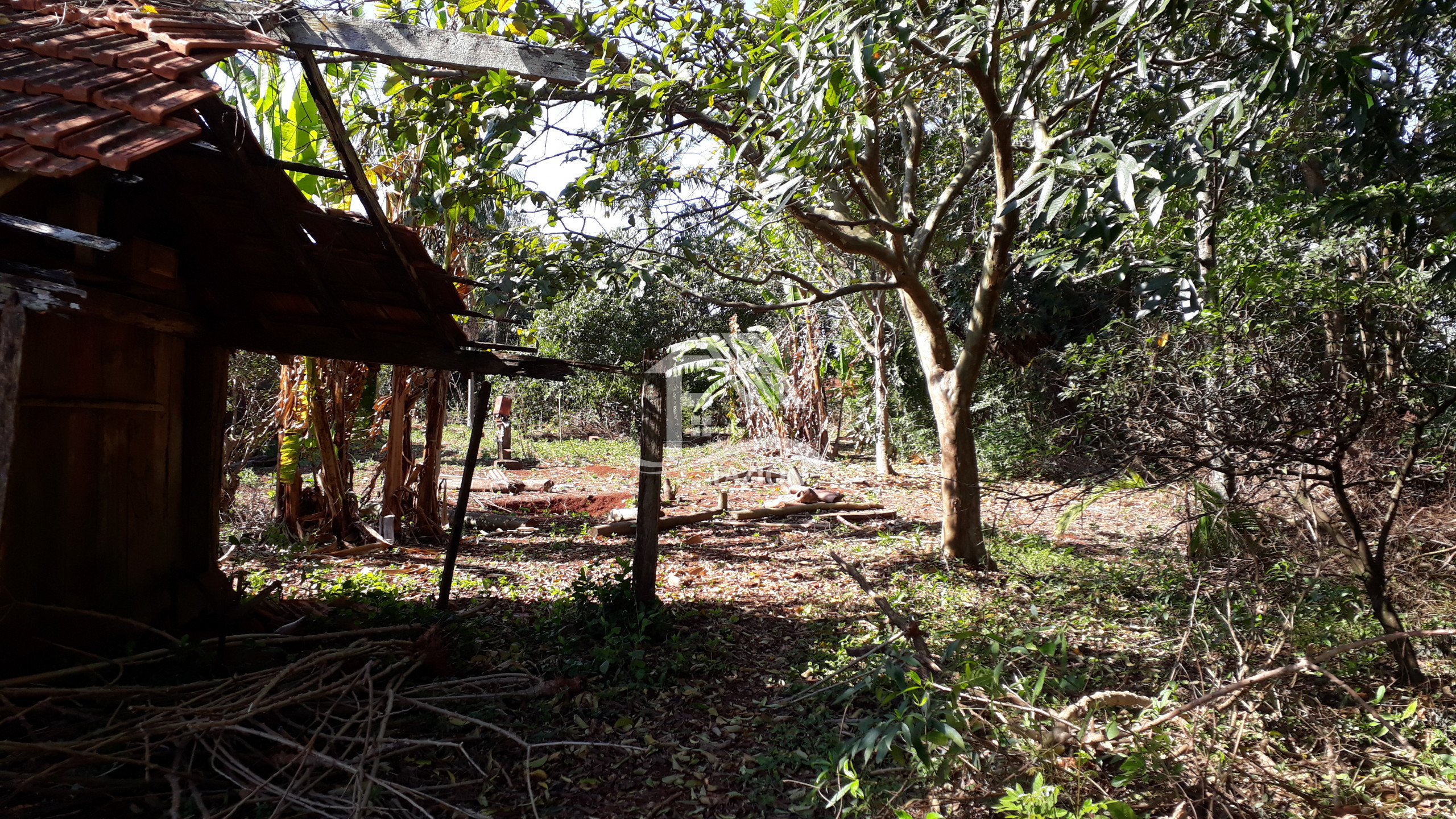 Venda TERRENO ROLANDIA PR Brasil