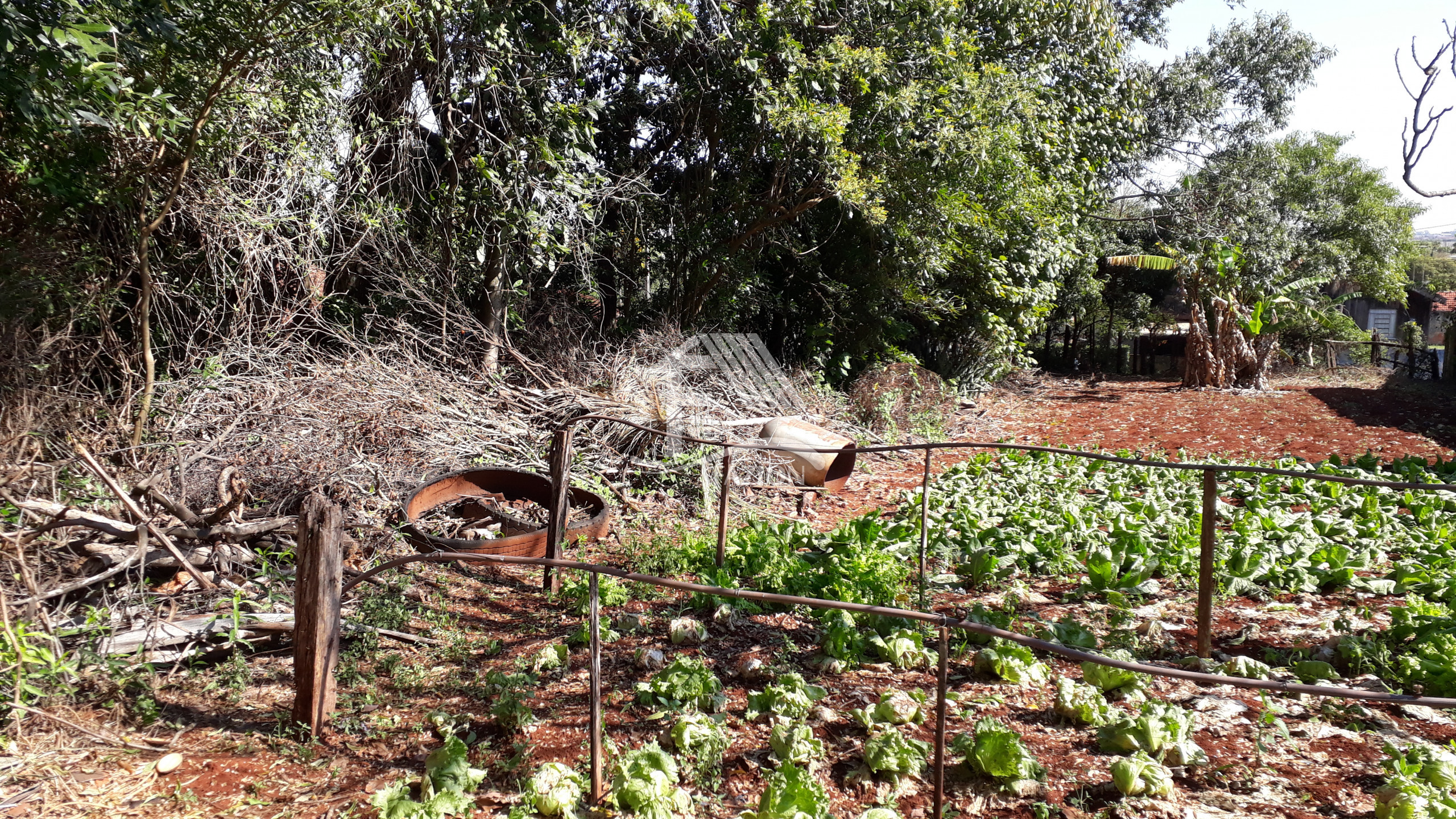 Venda TERRENO ROLANDIA PR Brasil