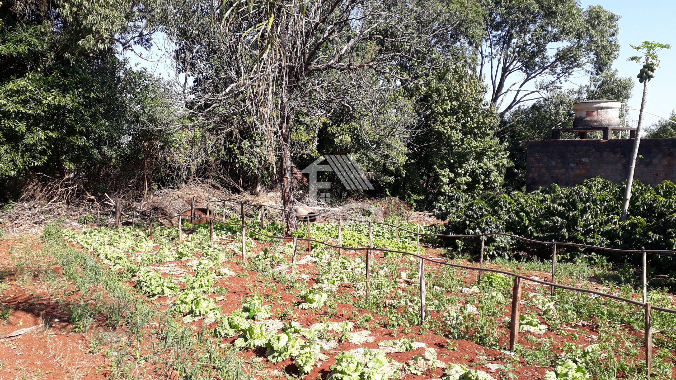 Venda TERRENO ROLANDIA PR Brasil