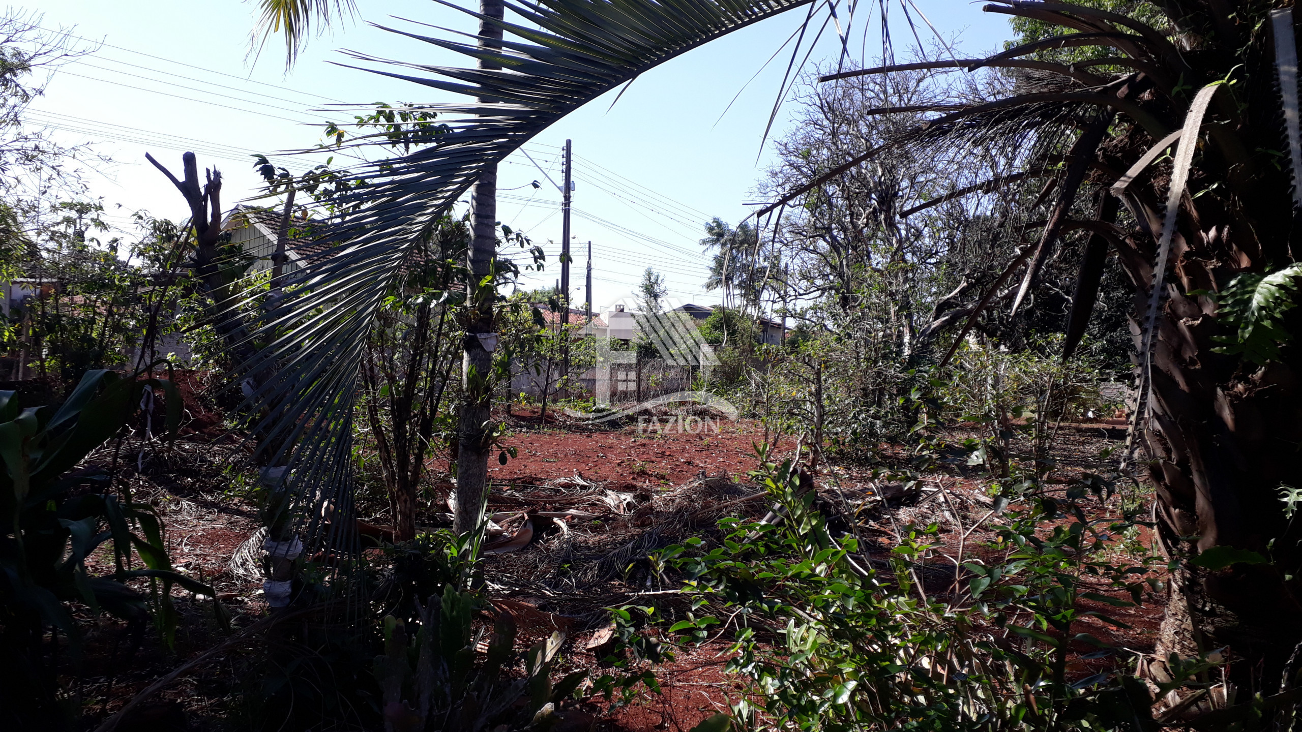 Venda TERRENO ROLANDIA PR Brasil