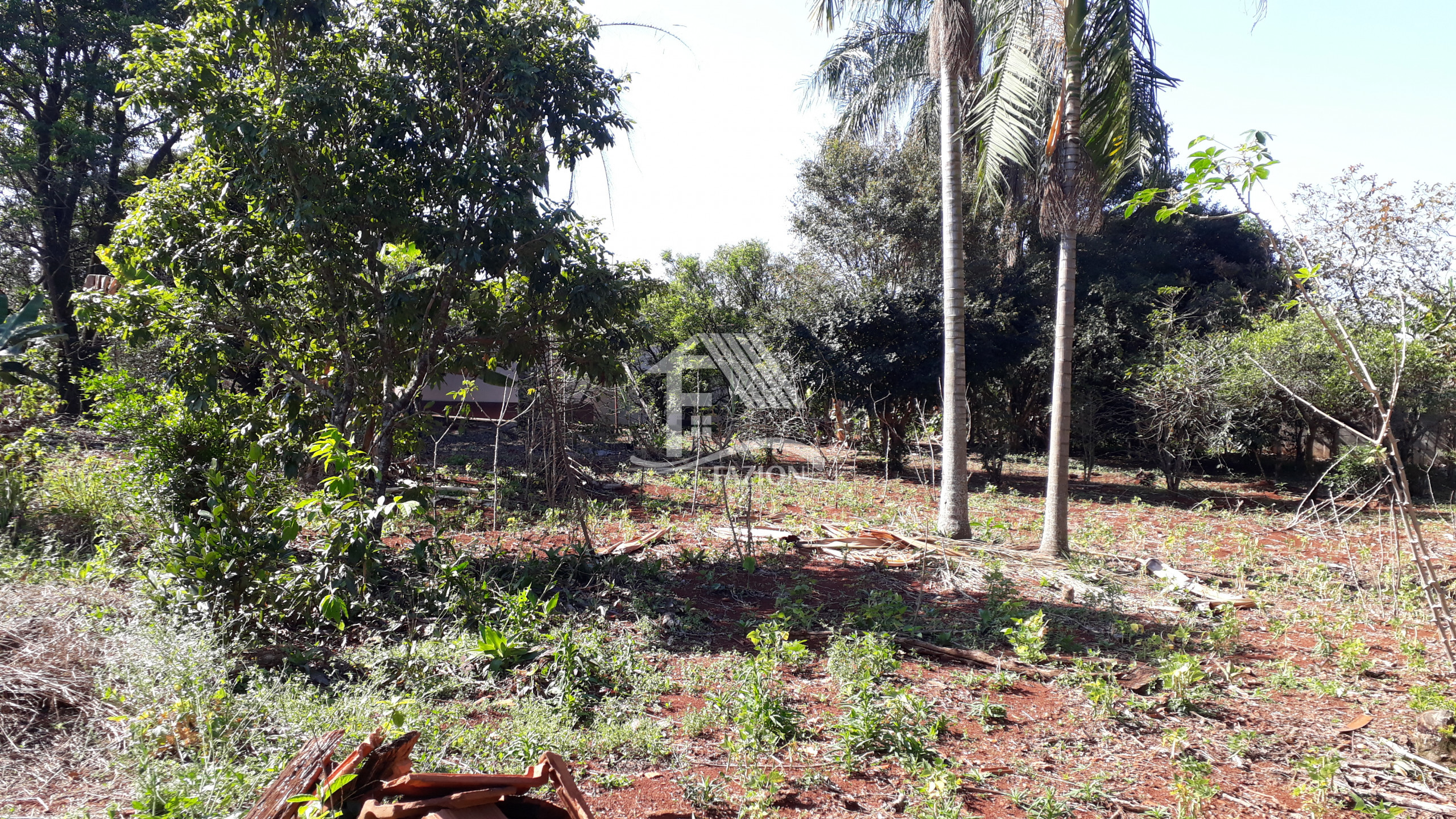 Venda TERRENO ROLANDIA PR Brasil