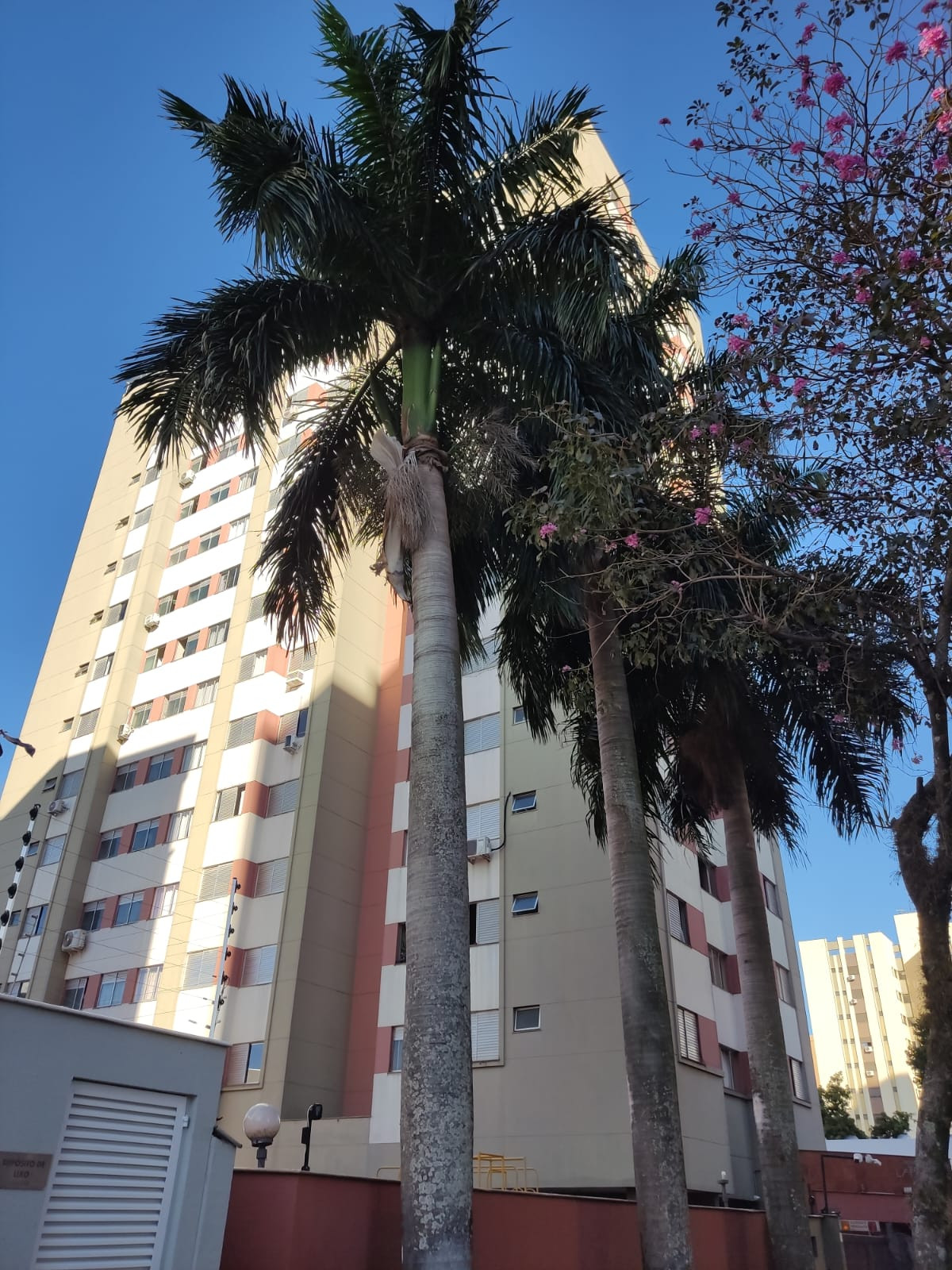Apartamento Á Venda Edifício Lafayaette Londrina