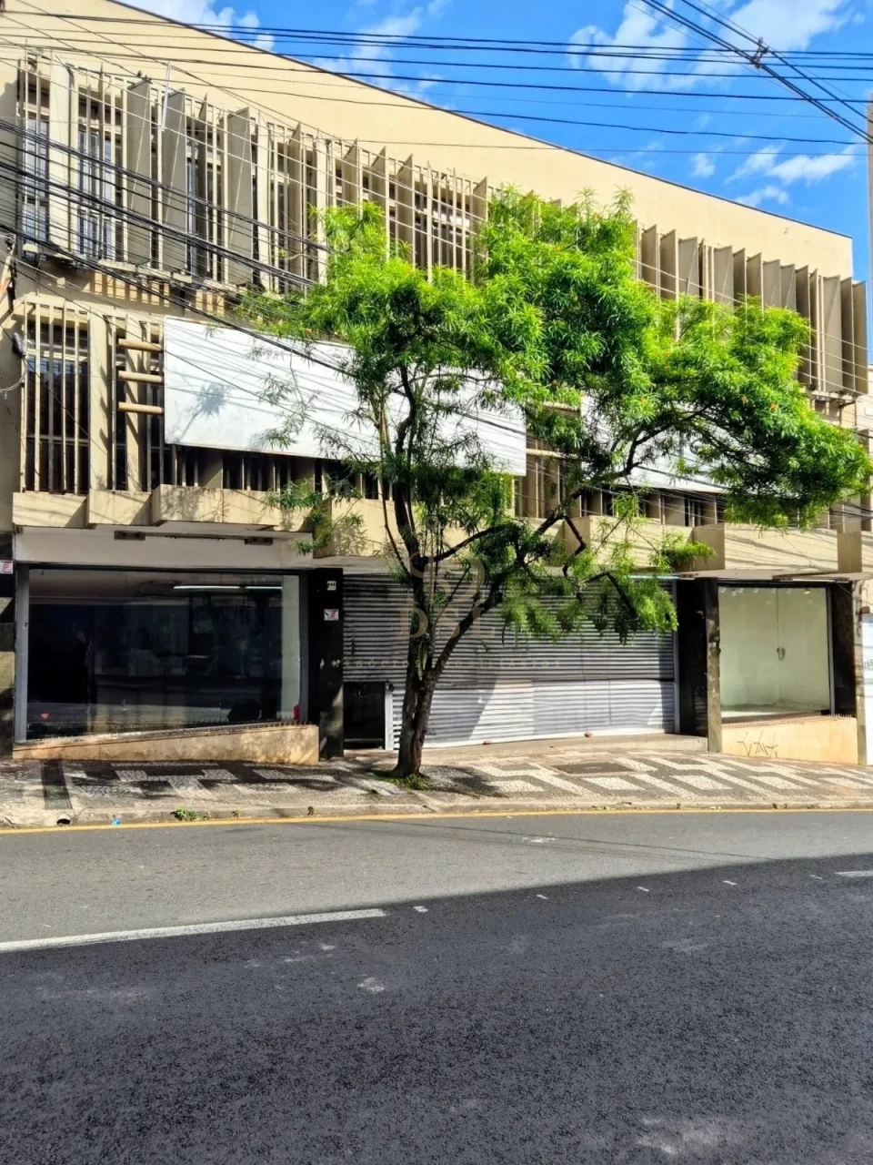 Comercial Para Alugar Centro Londrina