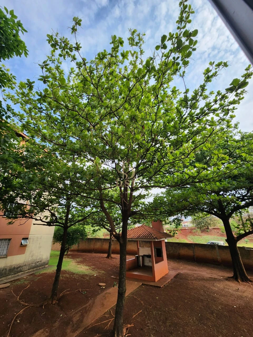 Imagens do imóveis Apartamento Á Venda Condomínio Residencial Anselmo Vedoato Londrina