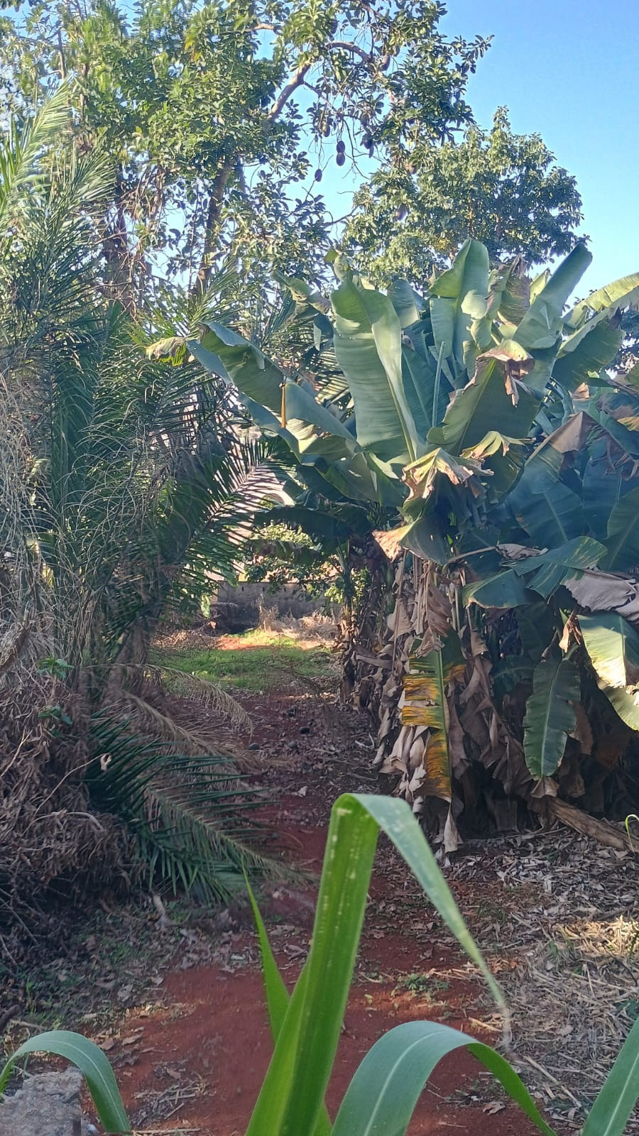 Terreno Jd. Novo Sabará