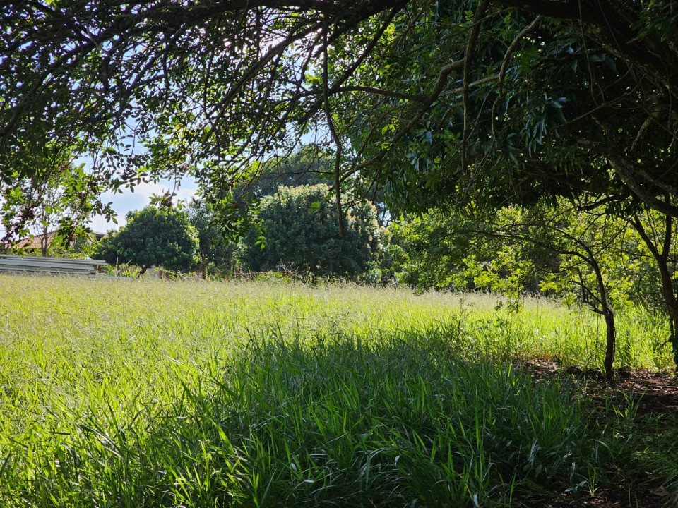 Chácara Recanto Rancho Ringo com 5076,46m²