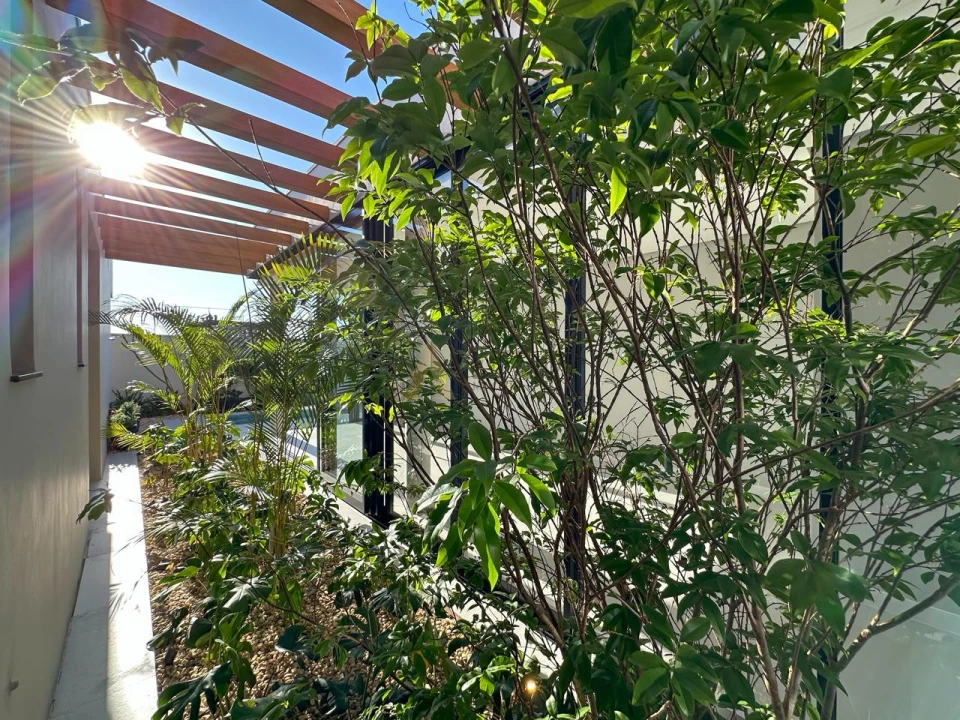 Imagens do imóveis Casa em Condomínio Térrea à Venda no Vitality Home & Resort