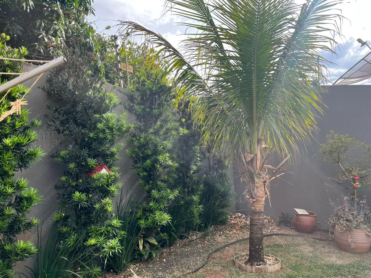 Casa À Venda Jardim Caviúna Rolândia