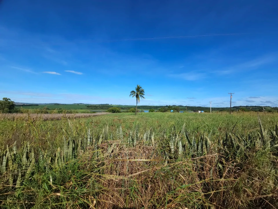 Imagens do imóveis Chácara Molhada - Primeiro de Maio  ( 12.800m2 ).