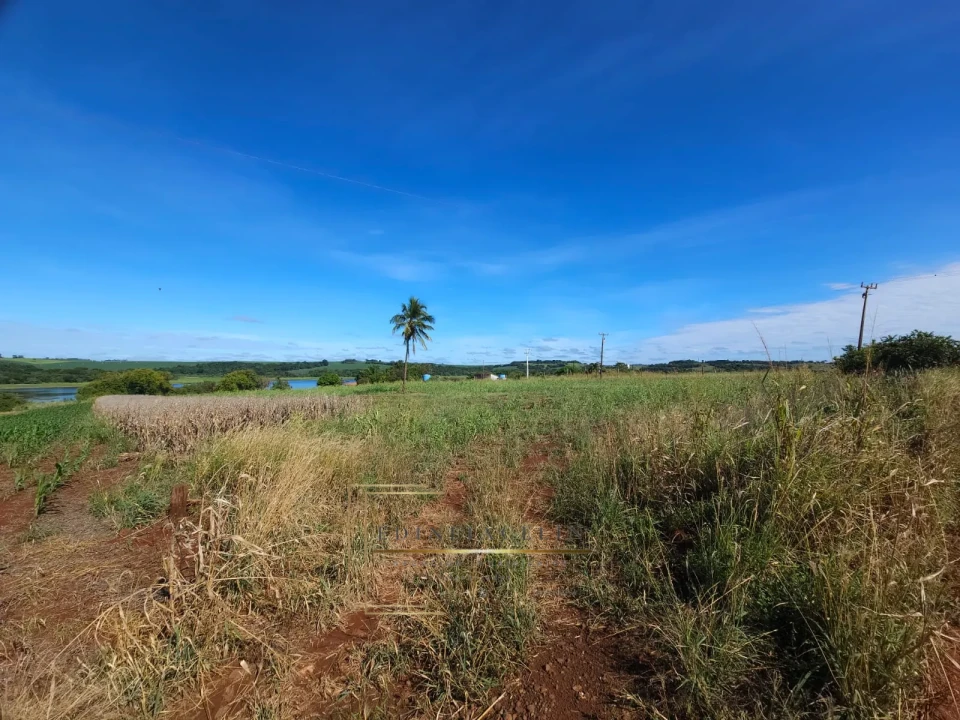 Imagens do imóveis Chácara Molhada - Primeiro de Maio  ( 12.800m2 ).