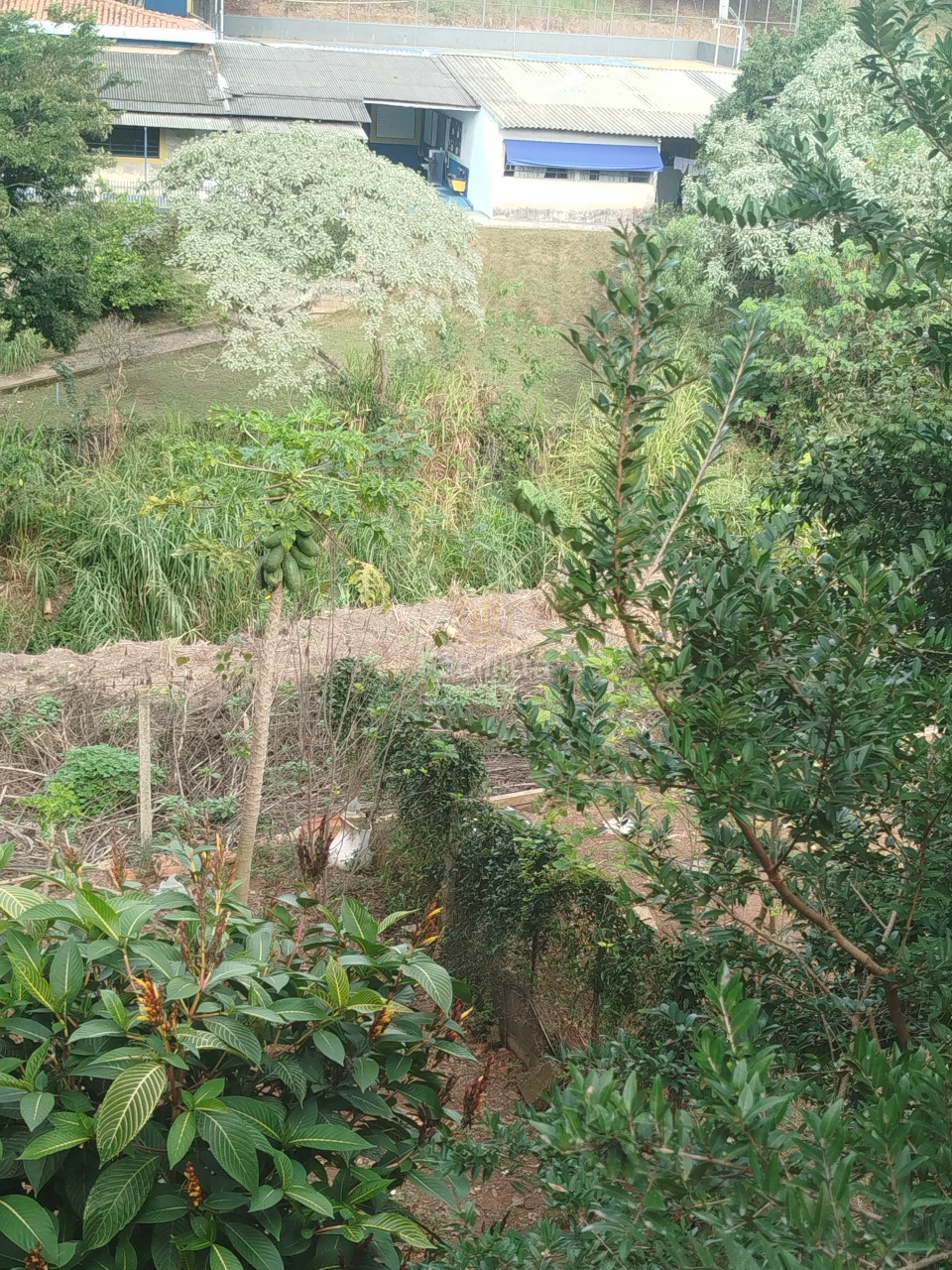 Imagens do imóveis CASA PARA LOCAÇÃO