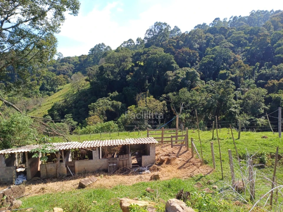 Imagens do imóveis Linda chácara a venda em Pedra-Bela
