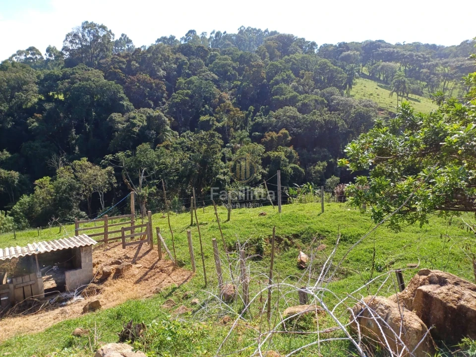 Imagens do imóveis Linda chácara a venda em Pedra-Bela