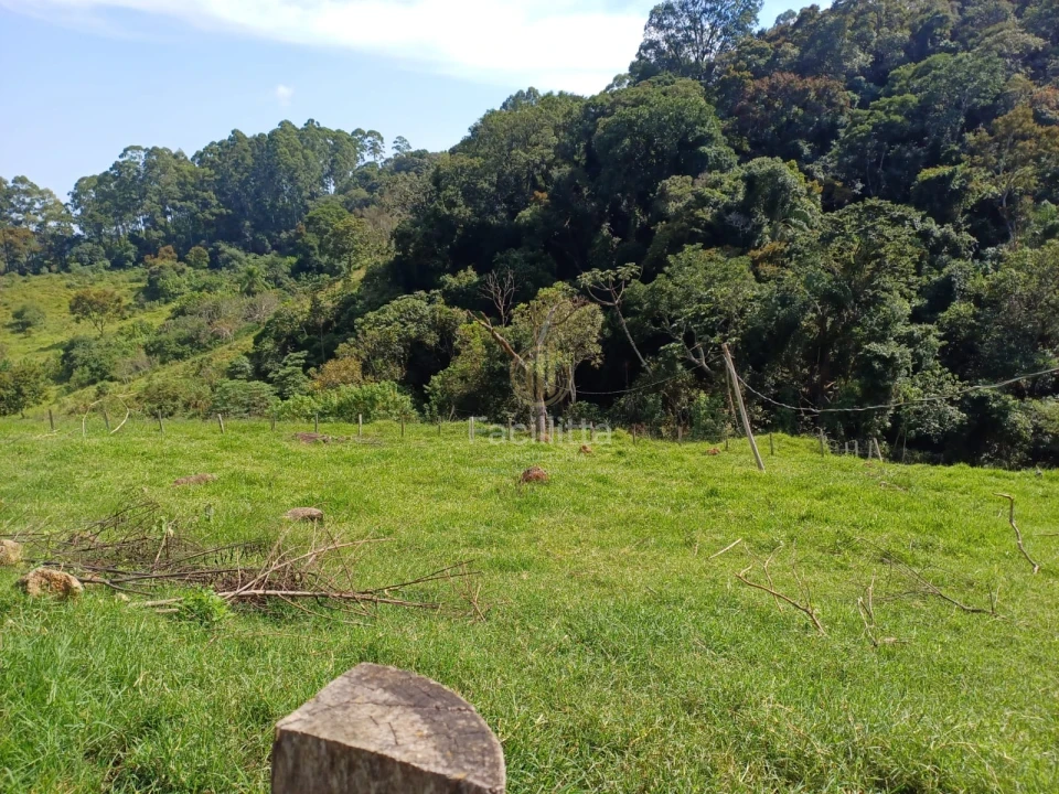 Imagens do imóveis Linda chácara a venda em Pedra-Bela