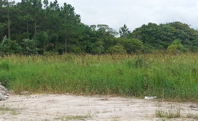 Imagens do imóveis Terreno À Venda Pontal Do Sul Pontal Do Paraná