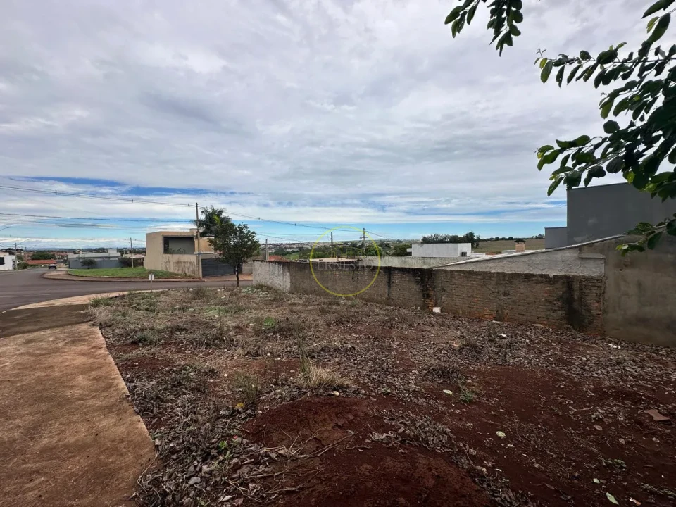 Imagens do imóveis TERRENO- NOVA BRAUNA