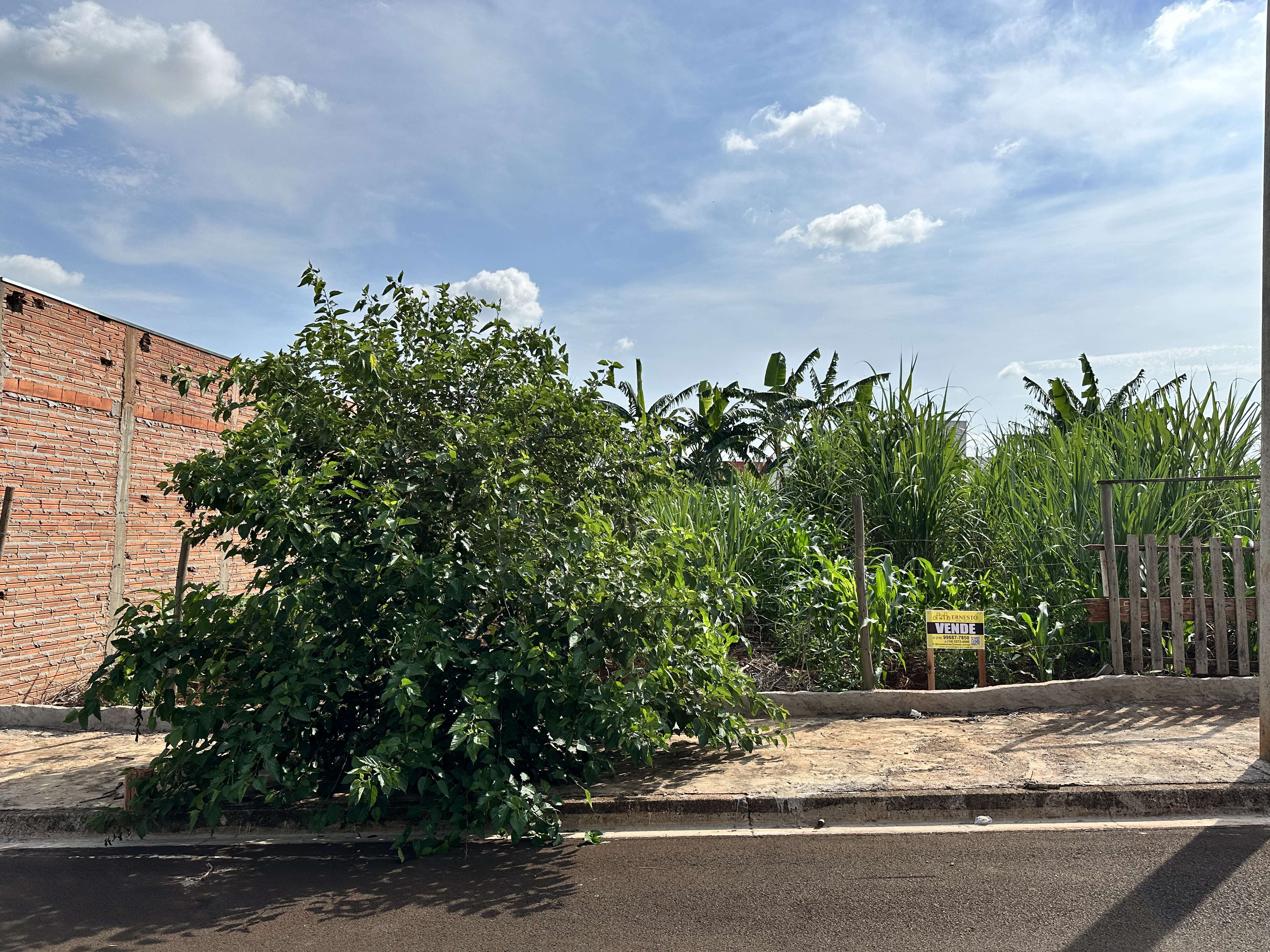 TERRENO JARDIM PAULISTA