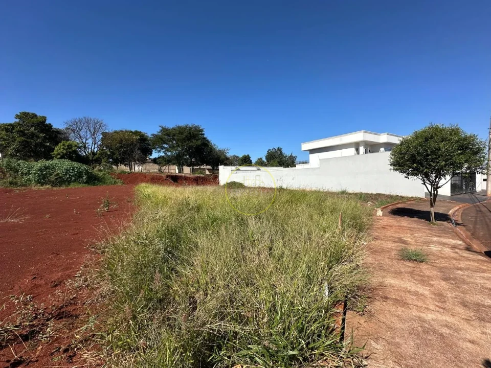Imagens do imóveis TERRENO - NOVA BRAUNA