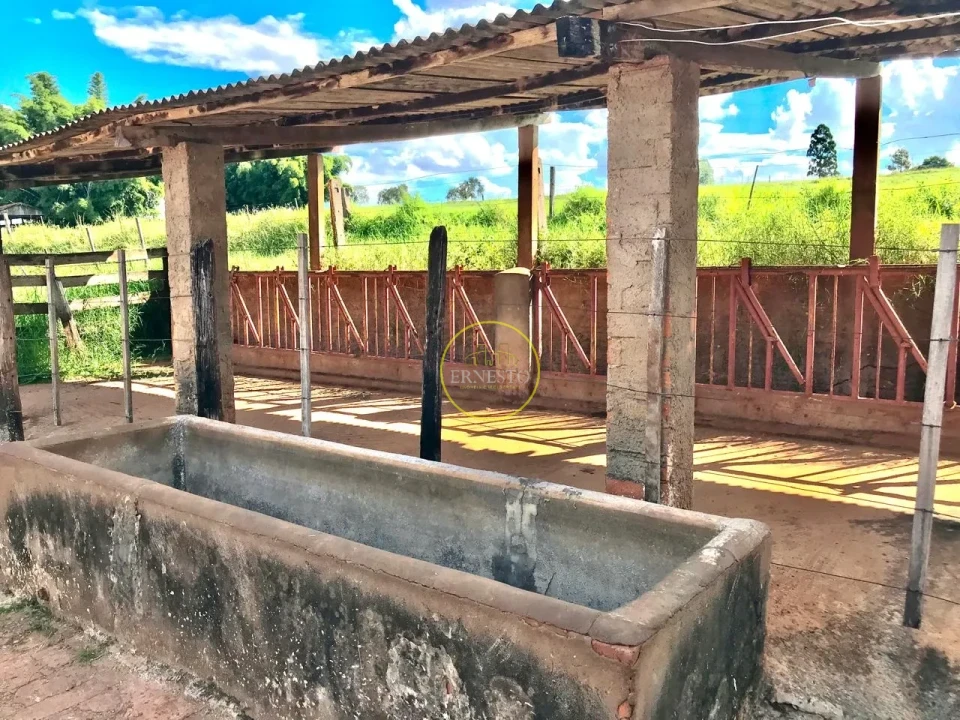 Imagens do imóveis FAZENDA - SANTA CRUZ DO RIO PARDO