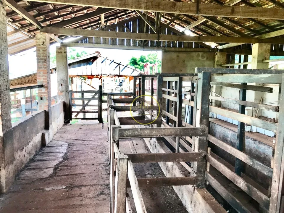 Imagens do imóveis FAZENDA - SANTA CRUZ DO RIO PARDO