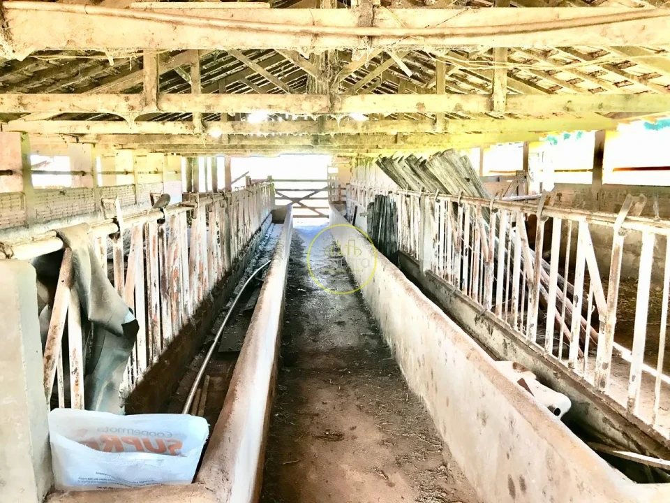 Imagens do imóveis FAZENDA - SANTA CRUZ DO RIO PARDO